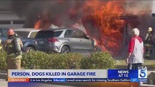 La Habra house fire leaves homeowner, 2 dogs dead