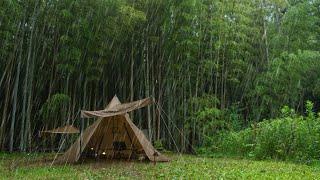 Solo Camping in a Bamboo Grove in the Rain