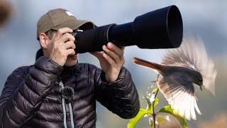 Vogel-Fotografie entspannt & friedlich auf ner Bank