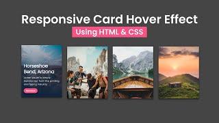 Create Animated Card Hover Effect Using HTML CSS | Card Hover Effect in HTML CSS