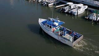 Jersey Shore fishermen catching more black sea bass due to warming waters