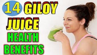 14 Incredible Benefits of Giloy Juice To Immunity Boost Your Body