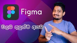 Figma Beginners Tutorial - Figma Sinhala