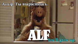 Альф. Ти виростеш. Alf. You'll grow up. Альф. Ты вырастешь. #alf