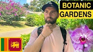 Kandy Botanic Gardens - Are they worth it? 