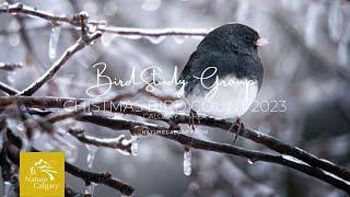 Bird Study Group - Calgary & Area 2022 Christmas Bird Count