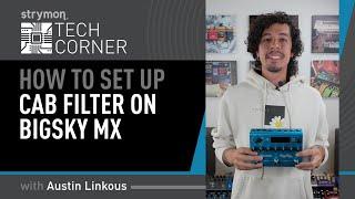 Strymon Tech Corner: How To Use BigSky MX's Cab Filter