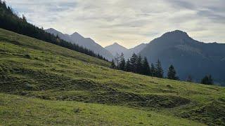 Wanderweg zur Ochsenalpe #wandernmithund #happydog #oberjoc #wandern #herbst #allgäu #trail #hiking