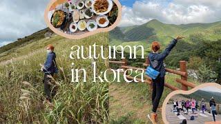 autumn in korea  hiking in ulsan, making makgeolli, mountain top yoga, my life in korea VLOG