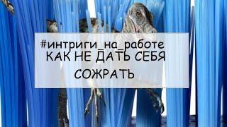 Моббинг на работе. Ошибки в поведении  "жертвы", делающие ее "легкой добычей"