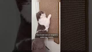 ⭐ Product Link in Description⭐Couch Cat Scratch Furniture Guards Mat #viral