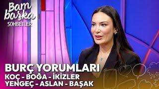 Ocak Ayı Burç Yorumları (Koç, Boğa,  İkizler, Yengeç, Aslan, Başak) | Bambaşka Sohbetler