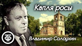 Владимир Солоухин. Капля росы. Радиопостановка по мотивам одноименной повести (1990)