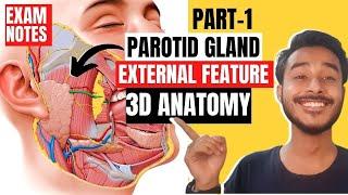 parotid gland external features anatomy | external features of parotid gland anatomy