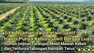 titik nyaman petani sawit punya kebun berapa luas