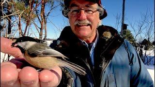 BIRD WHISPERER shows How To GET BIRDS to EAT OUT OF YOUR HAND!!!