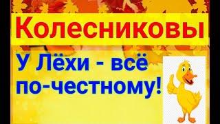 Колесниковы/Всё по-честному/Обзор влогов