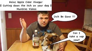 Heinz Apple Cider Vinegar || Cutting down the itch on your dog || Mumbles Videos