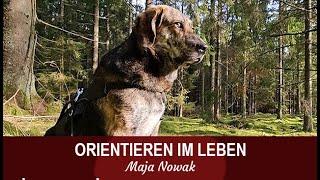 ORIENTIEREN - Eine neue Reihe über das Leben - Teil  3 - von Maja Nowak