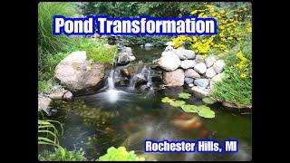 Existing Pond Transformation | Rochester Hills, MI