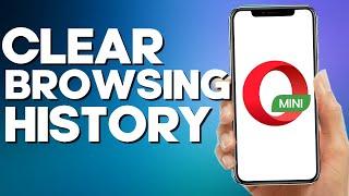 How to Clear Browsing History on Opera Mini