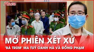 Vận chuyển hơn nửa tấn ma tuý, bà trùm Oanh 'Hà' cùng 34 đồng phạm hầu tòa - PLO