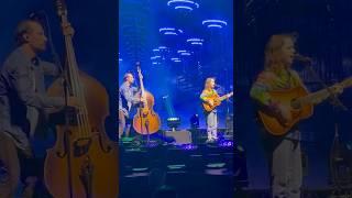 Cabin Song - Billy Strings 4/26/24 Rupp Arena Lexington #billystrings #bluegrass