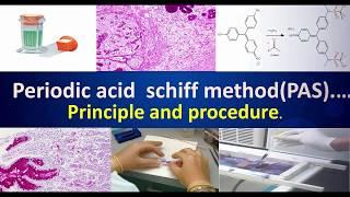 Periodic Acid Schiff Method(PAS) Principal, procedure.#Mls#PAS#Medilabacademy#Periodicacidschiff