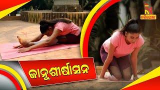 Janu Sirsasana (Head to Knee Forward Bend Pose) | Steps | Benefits | Yogic Fitness | NandighoshaTV