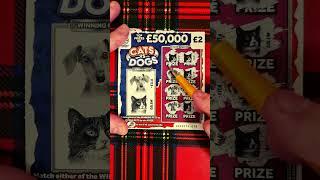 scratch card cats vs dogs full card win #shorts #win #lotto