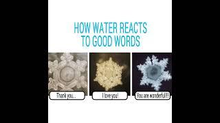 How does water react to different words?