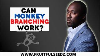 Monkey Branching: The percentage of monkey branching relationships that work | Coach Court