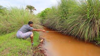 Fishing Video || I would not have believed if I had not seen so many fish in the village canal