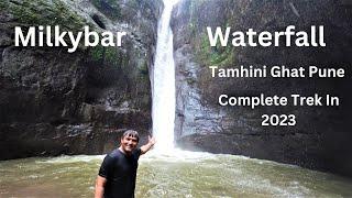 Milkybar Waterfall Tamhini Ghat Pune in Monsoon 2023 | Milkybar Waterfall Trek | Travfoodie