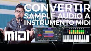 Convertir Clip de Audio a Instrumento MIDI | Sampleo Audio | Ableton Live | Crea tu Propios Efectos