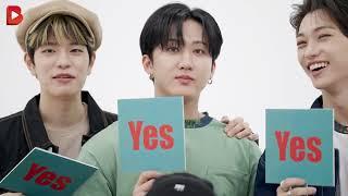 'Yes or No' Quiz Challenge with STRAY KIDS!