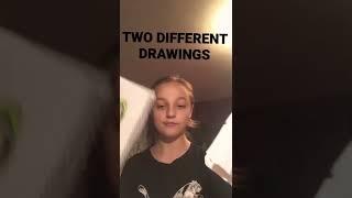 THESE ARE TWO DIFFERENT DRAWINGS