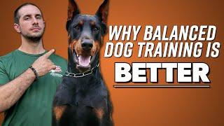 Why Balanced Dog Training Works