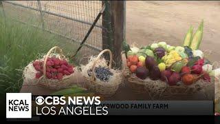 Underwood Family Farms | SoCal Spotlight