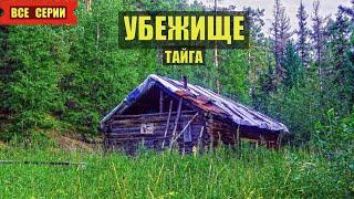 УБЕЖИЩЕ ОТШЕЛЬНИКА в ТАЙГЕ ВСЕ СЕРИИ АУДИОКНИГА ИЗБА ЛЕСНИКА РАССКАЗЫ ИСТОРИИ из ЖИЗНИ в ЛЕСУ