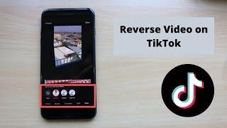 How to Reverse a TikTok Video Android/iPhone (2021)