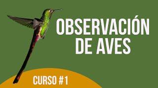 ¿Cómo observar Aves? Curso de Observación de aves, Cap. #1