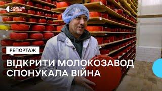 "Війна спонукала втілити мрію": на Чернігівщині фермер відкрив власний молокозавод