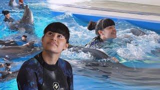 Diana Ankudinova swims with dolphins again!