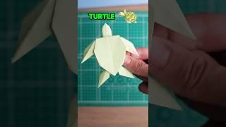 PAPER FOLD TURTLE || DIY ORIGAMI FOLD MAGIC