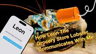 How Leon The Grocery Store Lobster Communicates With Me