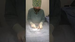 Cat spay surgery