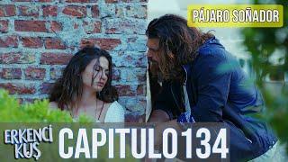 Pájaro soñador - Capitulo 134 (Audio Español) | Erkenci Kuş