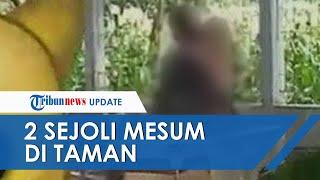 Viral Video Sejoli Berbuat Mesum Siang Bolong di Taman Ponorogo, Perekam Mengaku sampai Gemetar