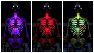 12FT SKELETON LED LIGHTING KIT Halloween Prop Accessory Review! (Home Depot 2023 Exclusive)